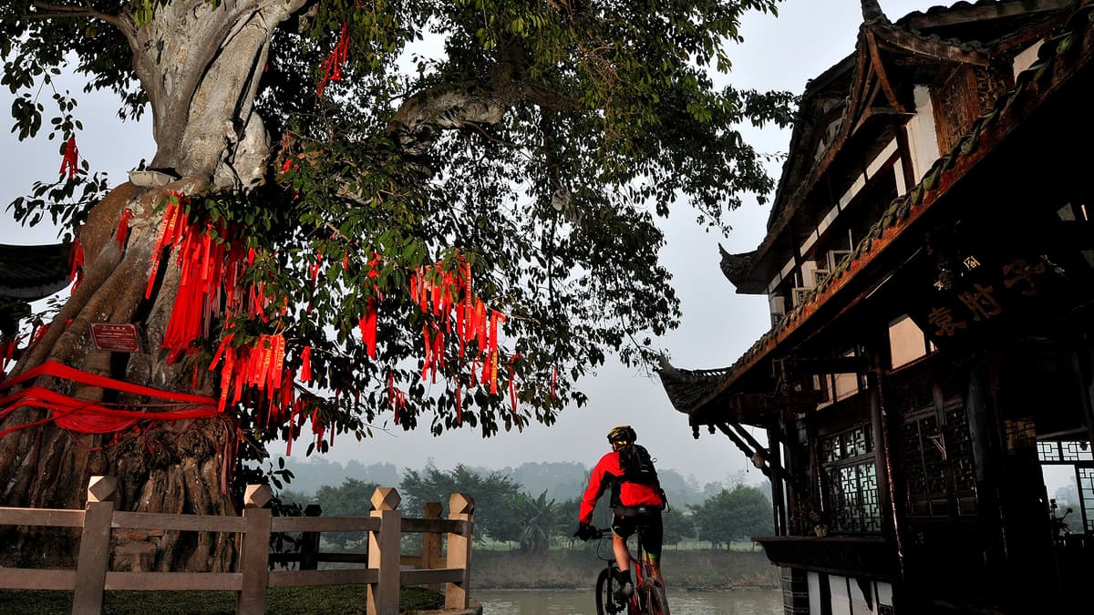 Leshan Giant Buddha and Huanglongxi Private Day Tour 5
