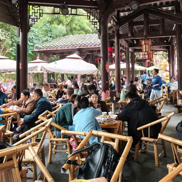 Chengdu 3-Day Private Tour Panda Base Dujiangyan Qingcheng 5