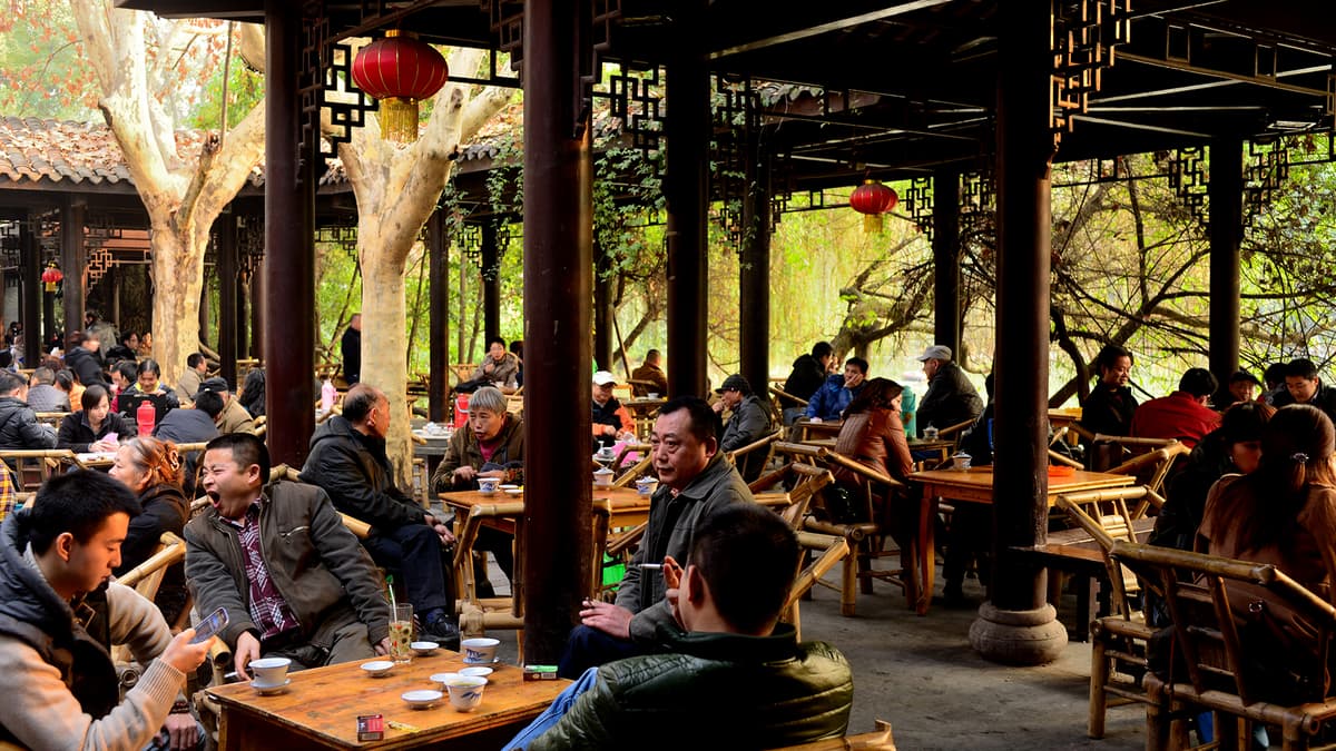 Chengdu Leshan 3-Day Private Tour Panda Base Giant Buddha 3