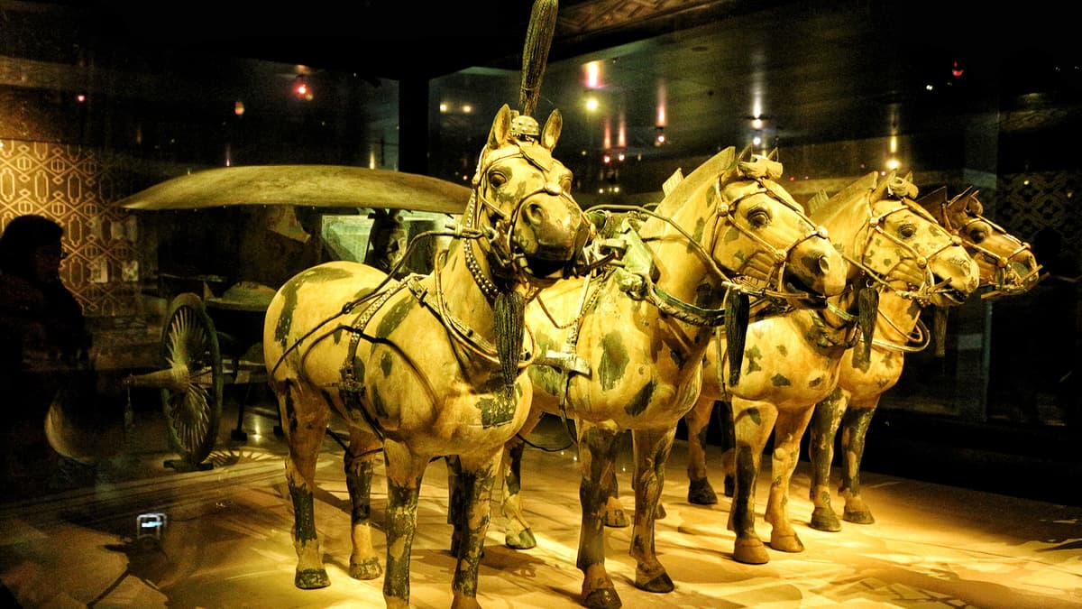Xi'an 3-Day Private Tour Terracotta Warriors City Highlights 2