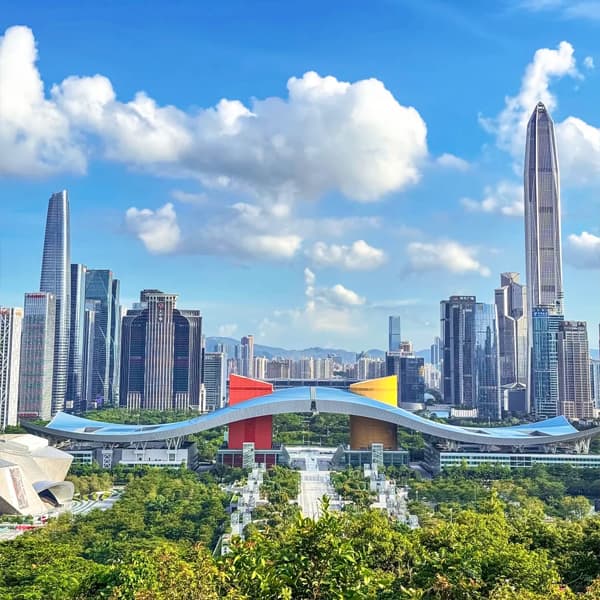 Shenzhen City Highlights and Coastal Views Private Tour 2