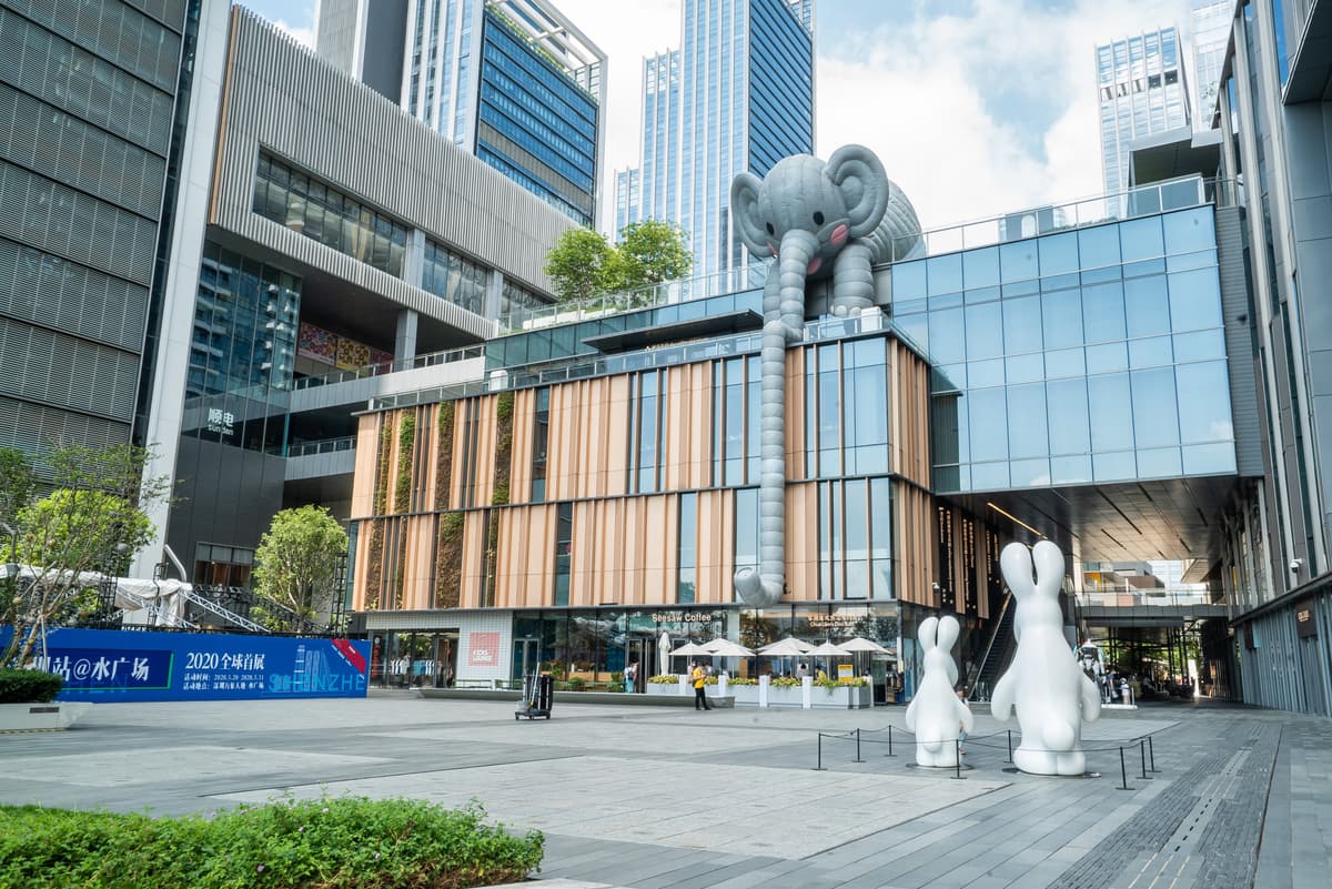 Shenzhen City Highlights and Coastal Views Private Tour 5