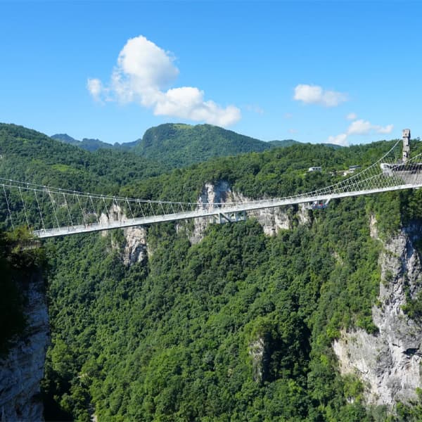 Zhangjiajie Grand Canyon and Glass Bridge Private Day Tour 4