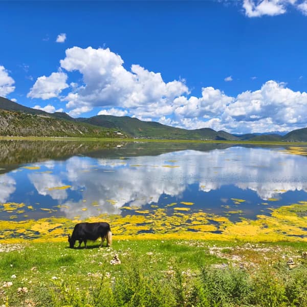 Lijiang to Shangri-La 2-Day Private Tour Tiger Leaping Gorge 4