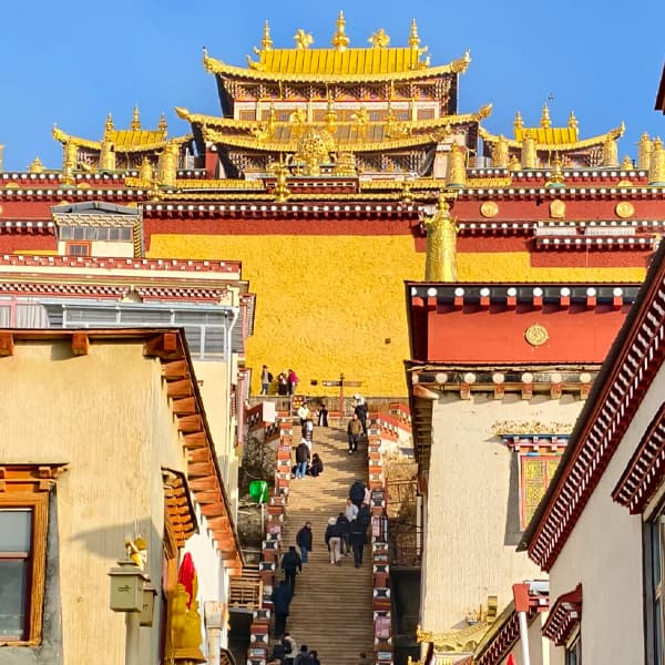 Shangri-La Songzanlin Monastery and Pudacuo Private Day Tour 2
