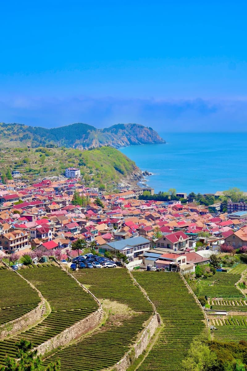 Qingdao Laoshan Scenic Area Private Day Tour 3