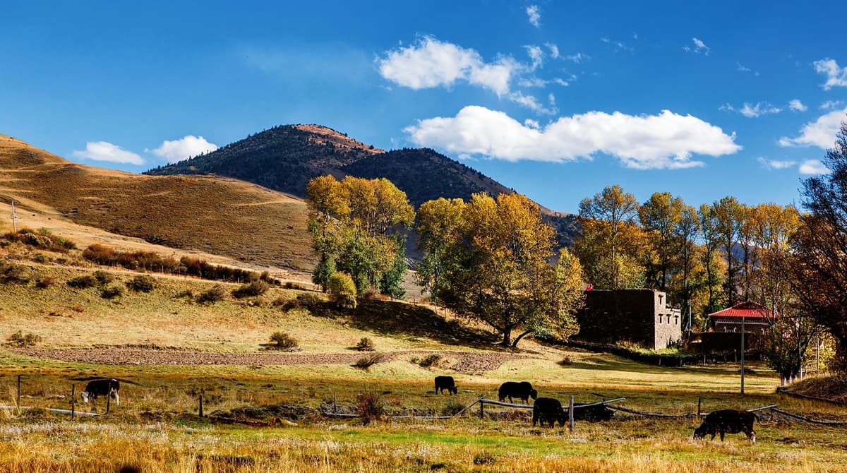 Chengdu to Lhasa 11-Day G318 Sichuan Tibet Overland Tour 3
