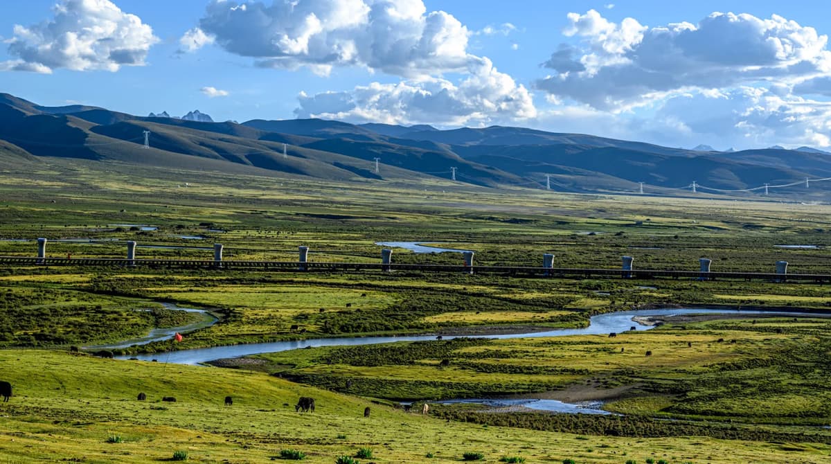 Chengdu to Lhasa 11-Day G318 Sichuan Tibet Overland Tour 4