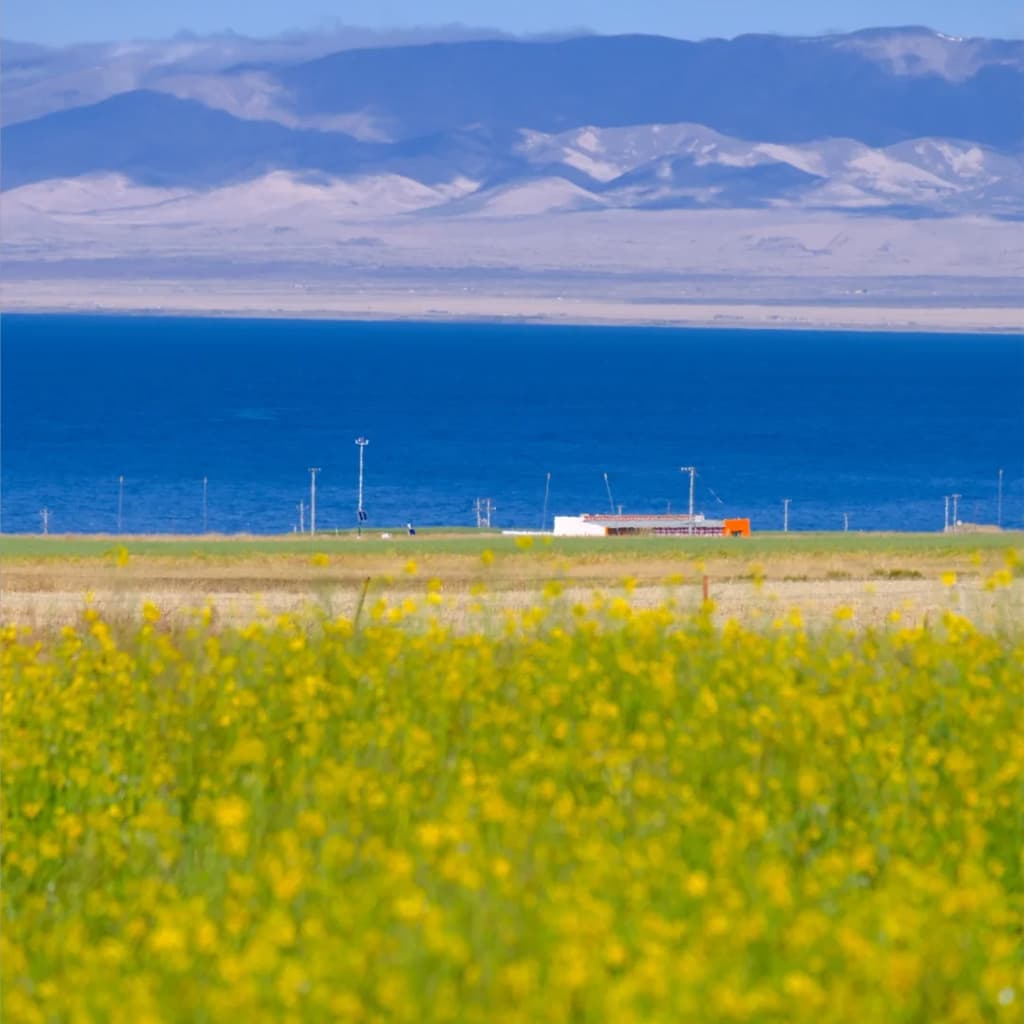 Qinghai Gansu 4-Day Private Tour Lake Chaka Zhangye Danxia 3