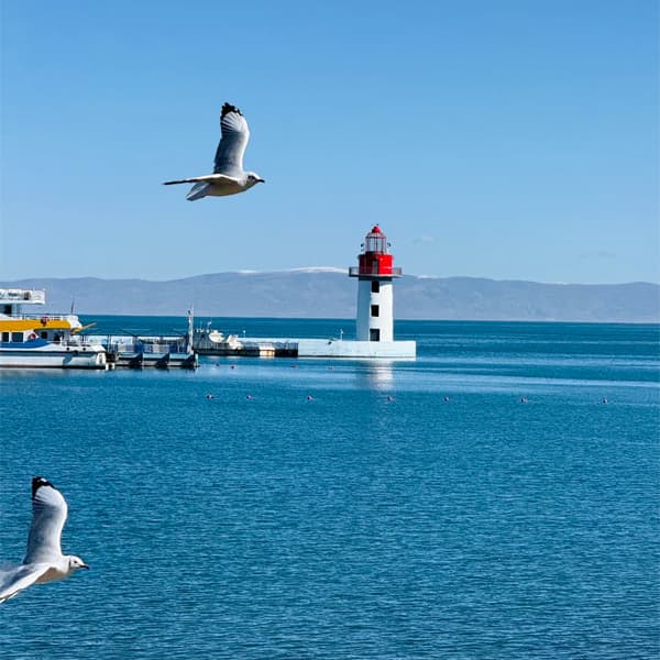 Xining to Qinghai Lake Private Day Tour 3