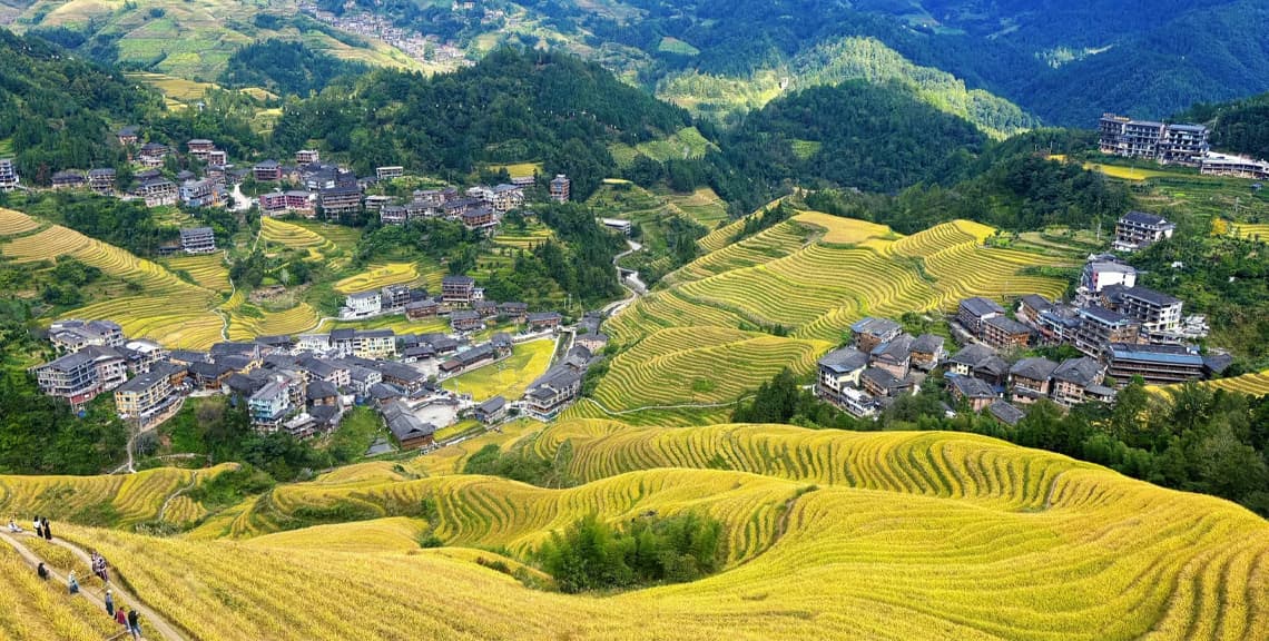 Longji Rice Terraces