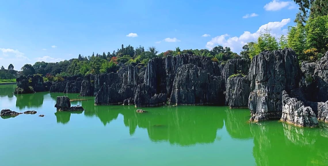 Stone Forest