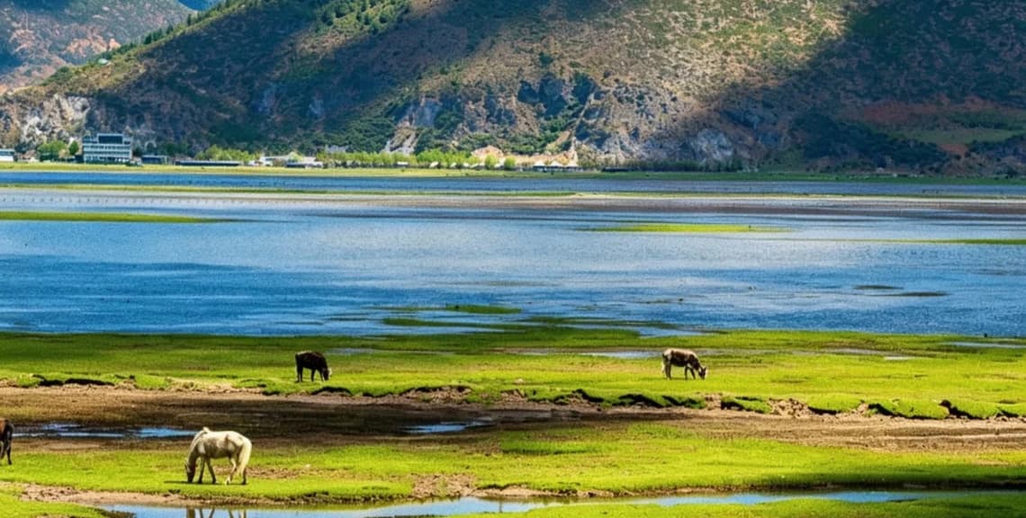 Napa Lake & Yila Grassland
