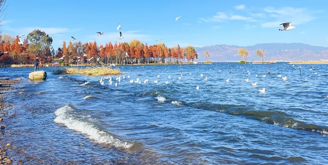 Erhai Lake