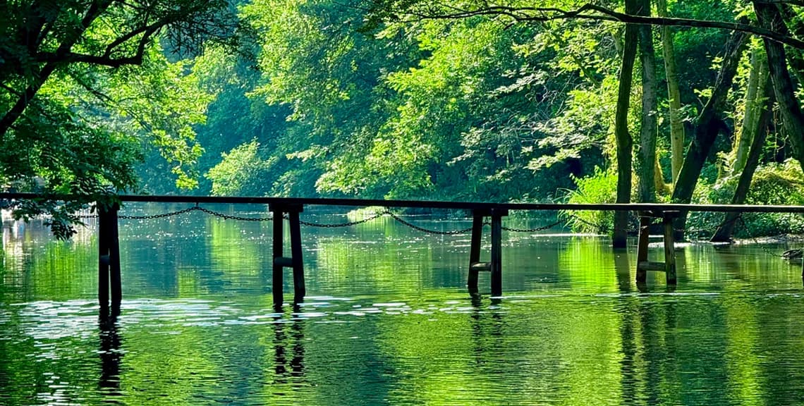 Xixinan Wetland