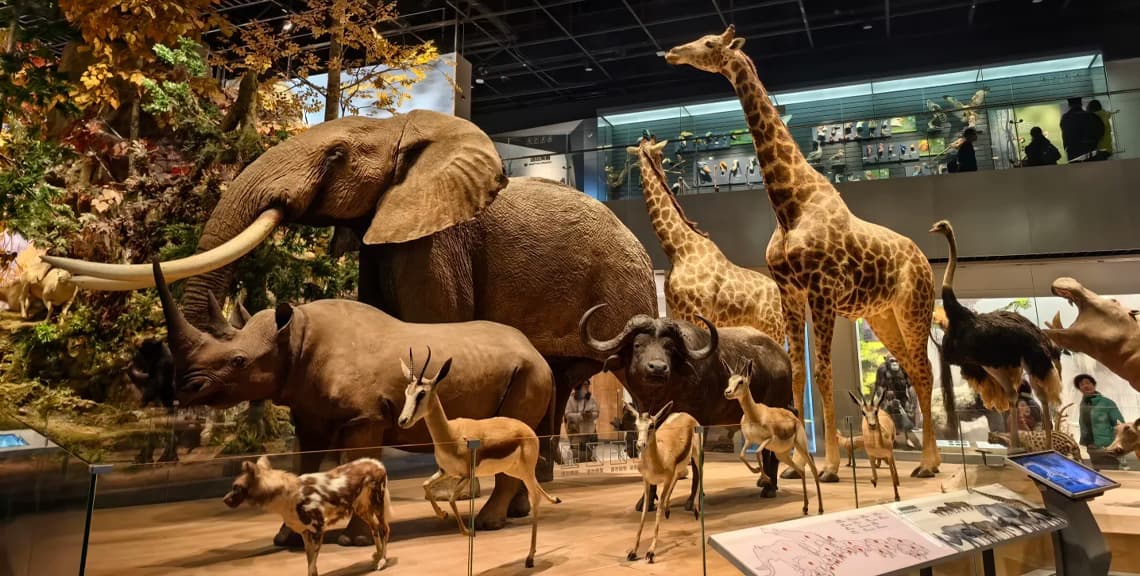 Shanghai Natural History Museum