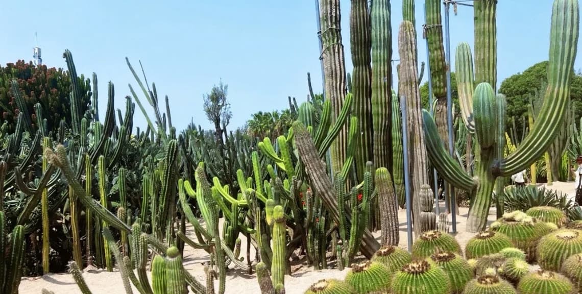 Xiamen Botanical Garden (Wanshi Botanical Garden)