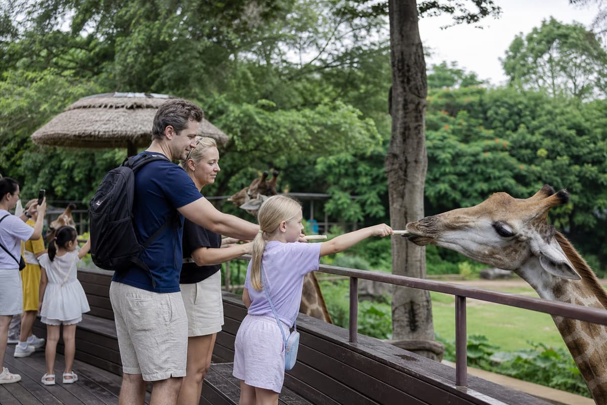Guangzhou Chimelong Safari Park Private Day Tour