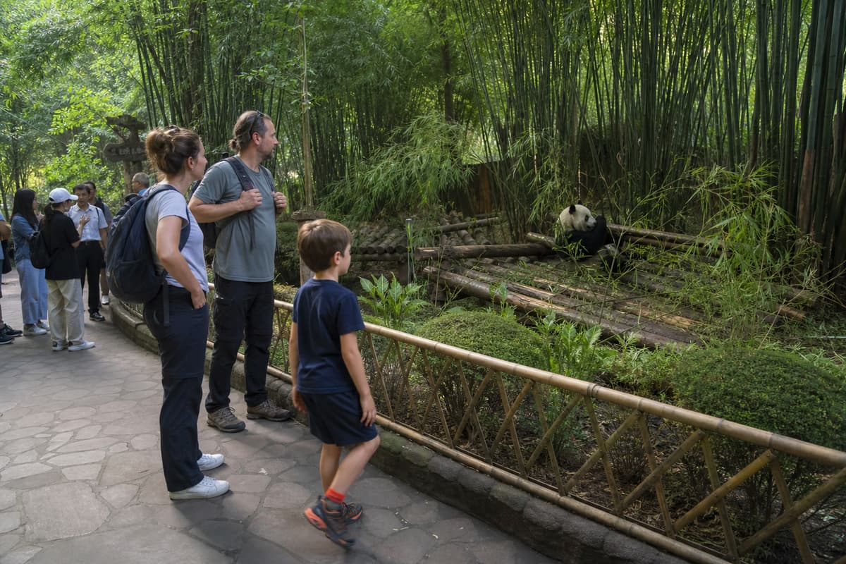 Chengdu Panda Base and Leshan Giant Buddha Private Day Tour
