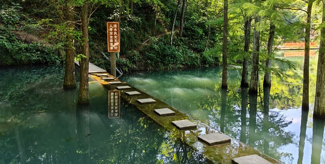 Dashanchong Forest Park