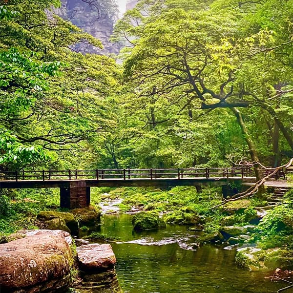 JInbian Brook