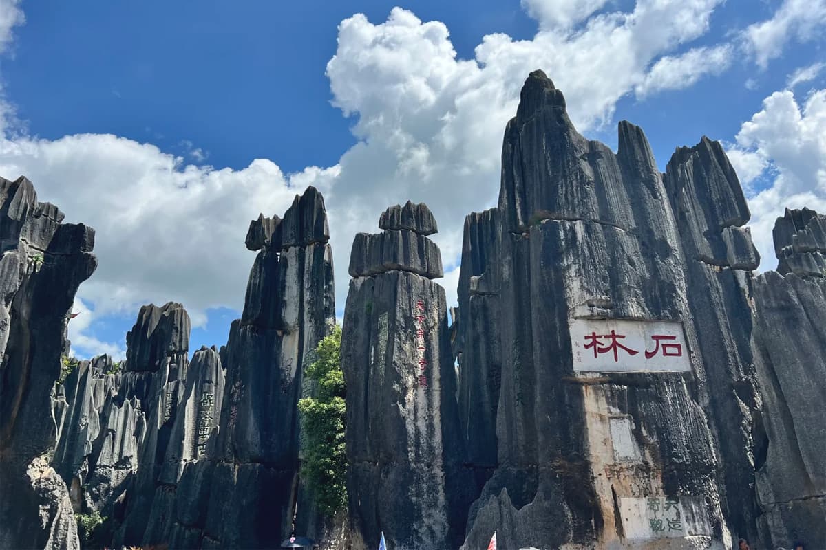 Stone Forest Scenic Area