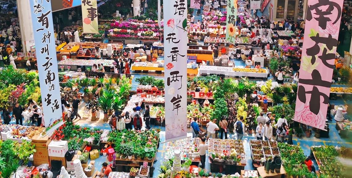 Dounan Flowers&Plants Market Scenic