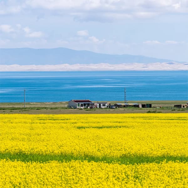 Qinghai Lake