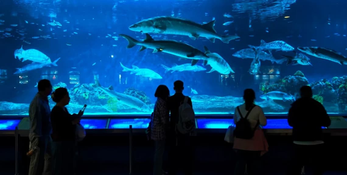 Beijing Aquarium