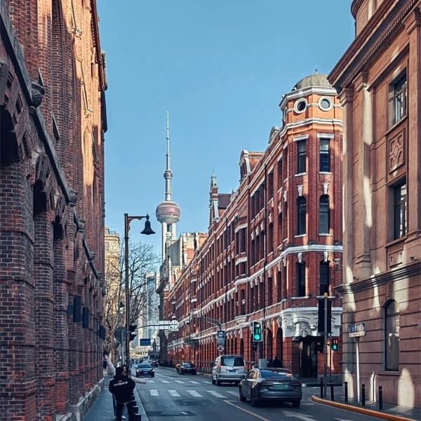 Shanghai Yu Garden, French Concession and Xintiandi Private Car Tour 4