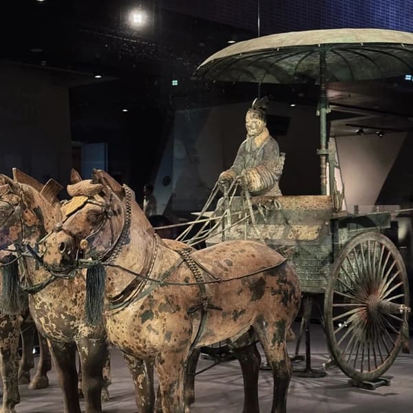 Xi'an Terracotta Warriors Private Car Day Tour with Driver 4