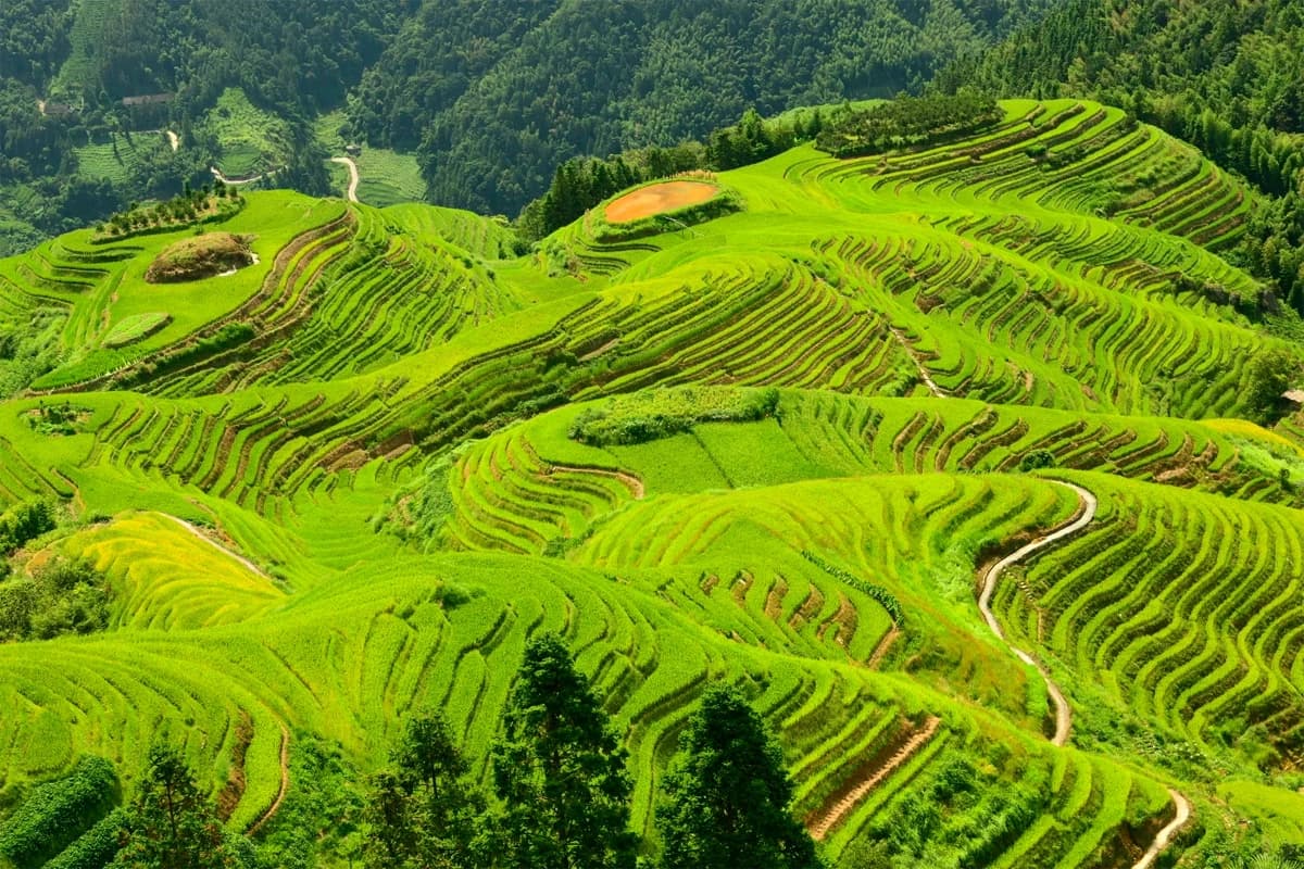 Guilin Longji Rice Terraces Private Car Day Tour with Driver