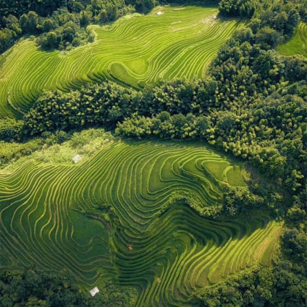 Guilin Longji Rice Terraces Private Car Day Tour with Driver 3