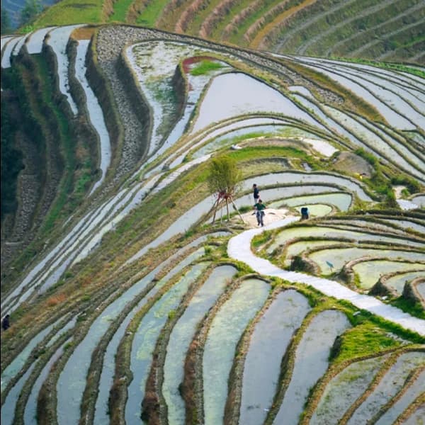 Guilin Longji Rice Terraces Private Car Day Tour with Driver 4