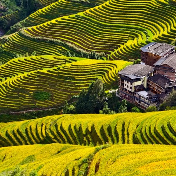 Guilin Longji Rice Terraces Private Car Day Tour with Driver 5
