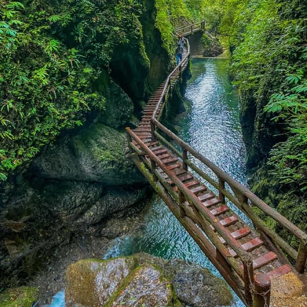 Chengdu Dujiangyan and Qingcheng Mountain Private Day Tour 3