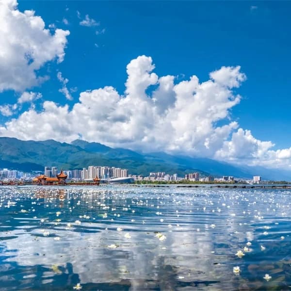 Dali Old Town and Erhai Lake Private Day Tour with Driver 3
