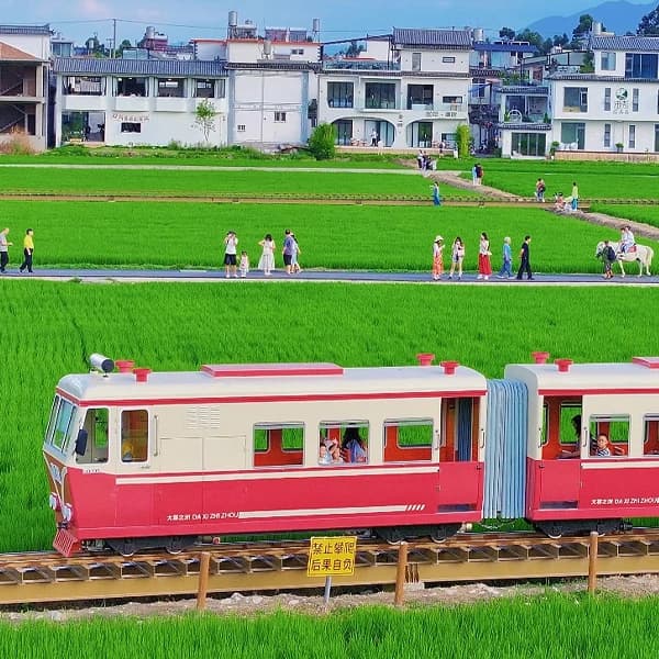 Dali Old Town and Erhai Lake Private Day Tour with Driver 5