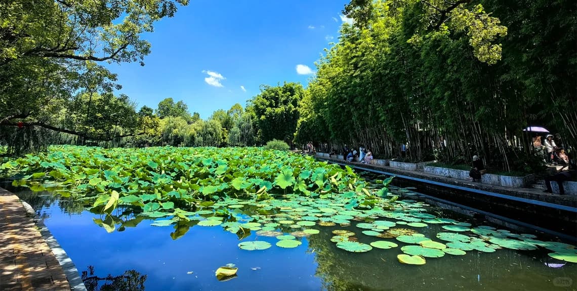Kunming City Culture Private Day Tour with Driver