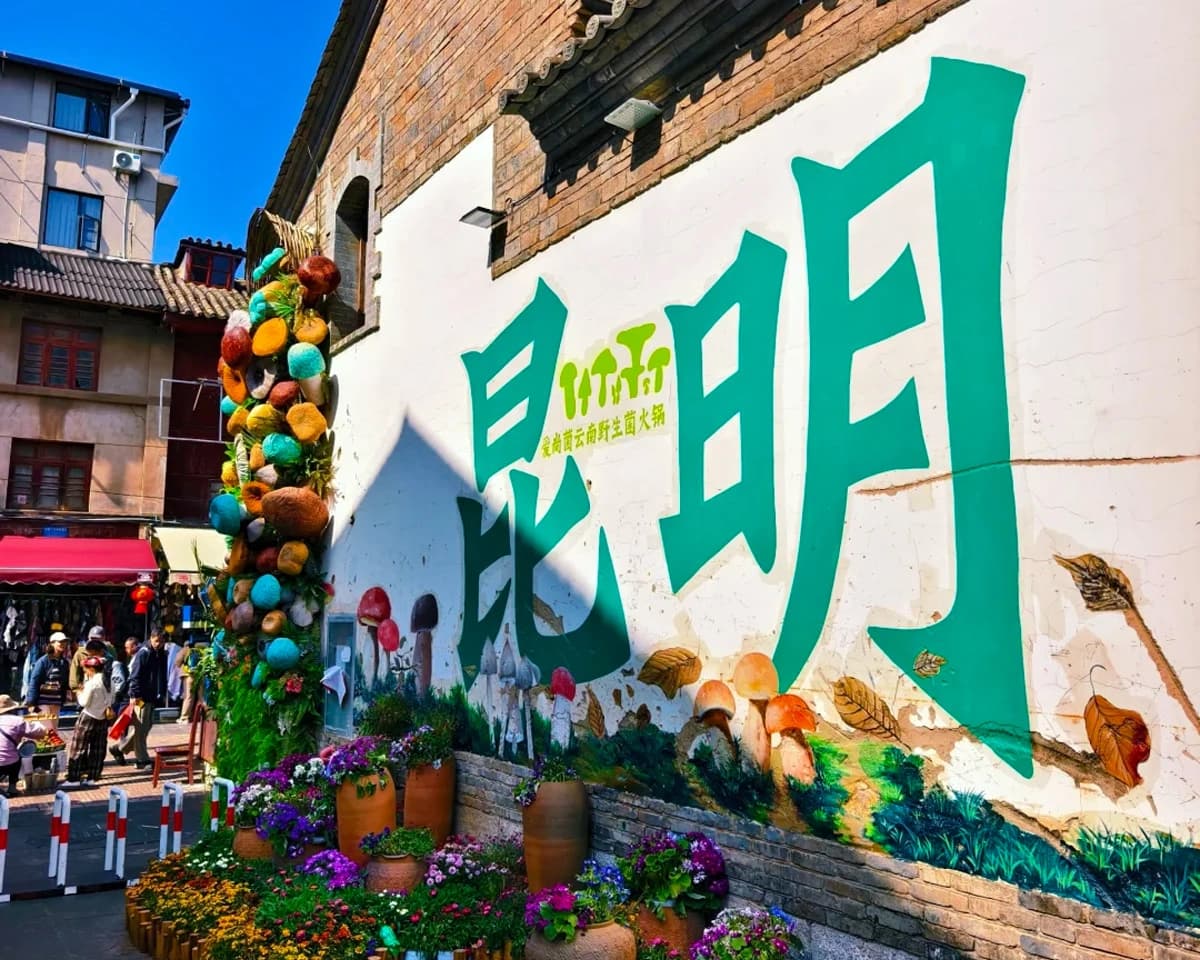 Kunming City Culture Private Day Tour with Driver 4