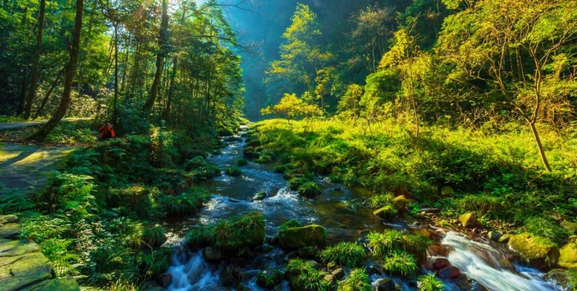Zhangjiajie Deep Scenic Private 4-Day Car Tour 2