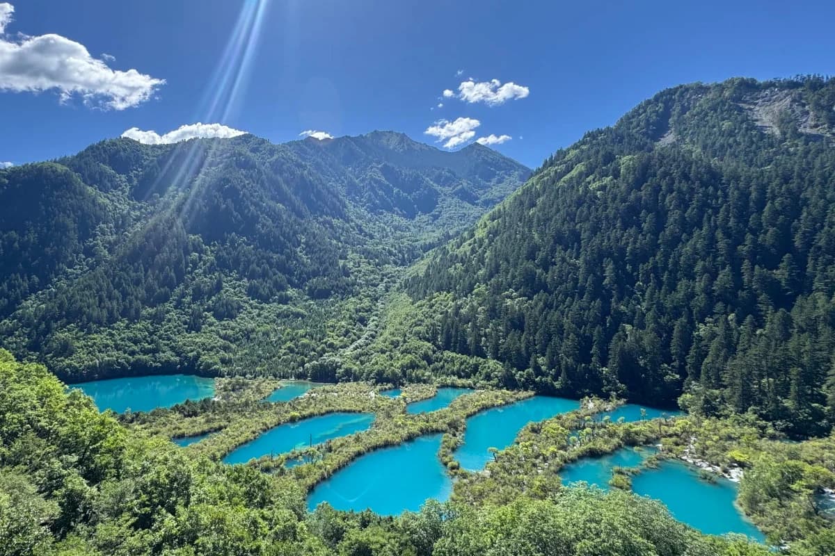 Chengdu Panda, Leshan and Jiuzhaigou Private 4-Day Car Tour