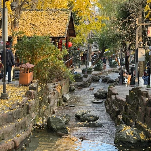 Chengdu Deep Experience Private 4-Day Car Tour 5