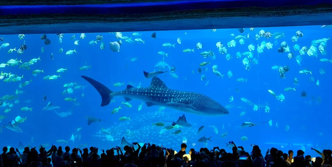 Zhuhai Chimelong Ocean Kingdom