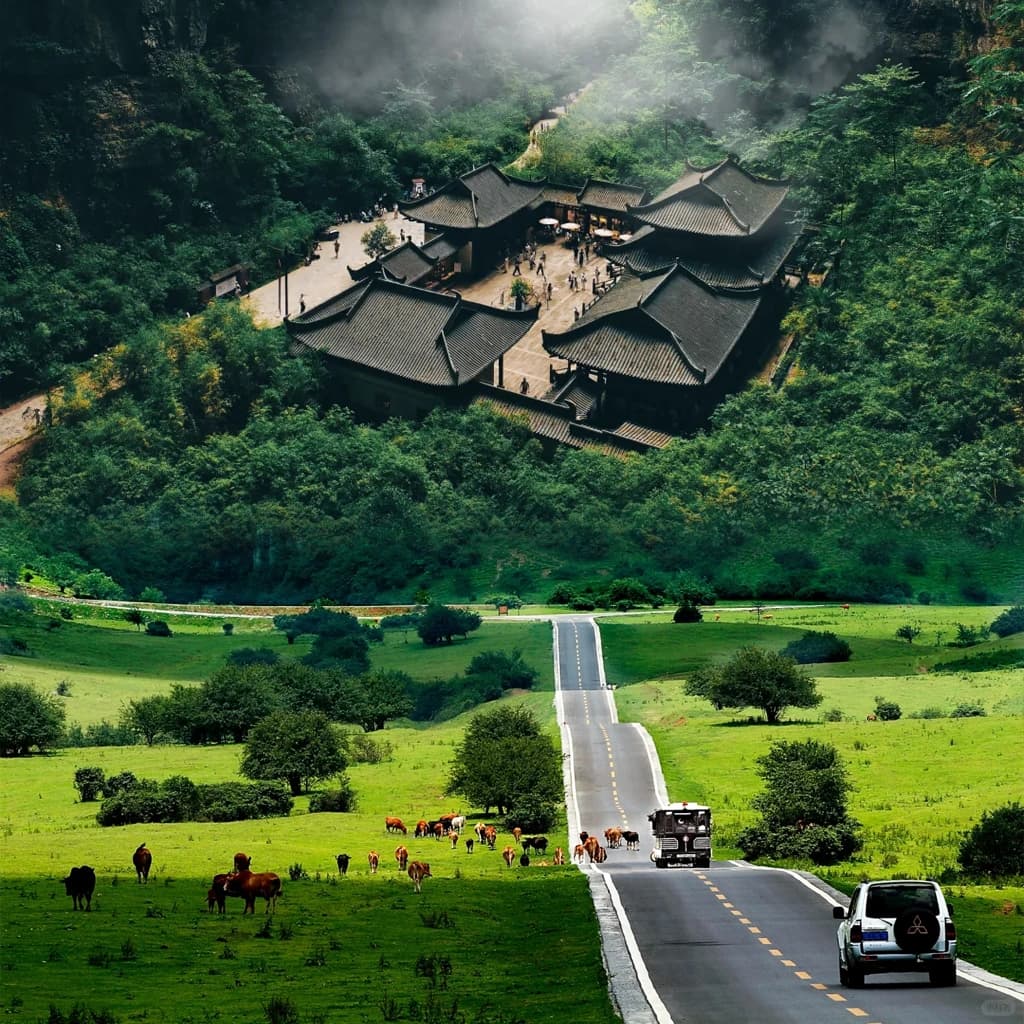 Chongqing 4-Day Private Car Tour with Driver Service
