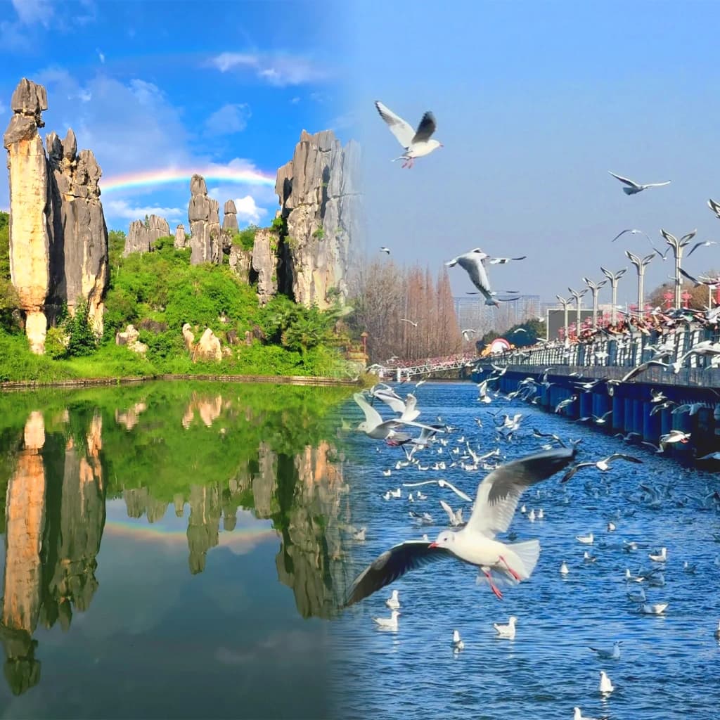 Kunming 2-Day Private Car Tour with Driver Service
