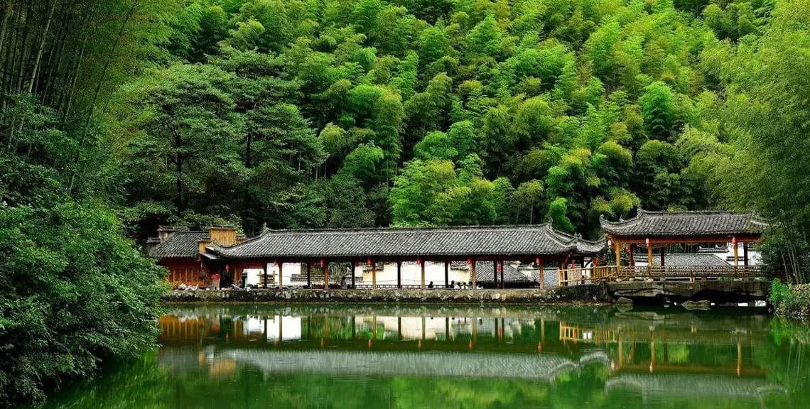 Mukeng Bamboo Sea